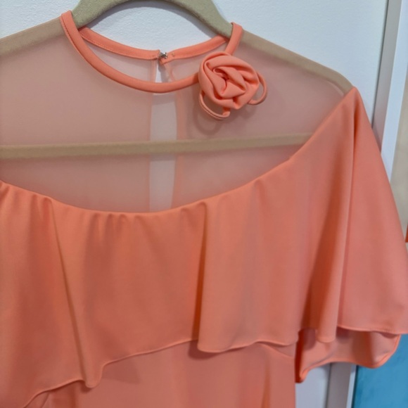 Vintage A-line Dress with Sheer Panel and Rosette - Picture 2 of 8